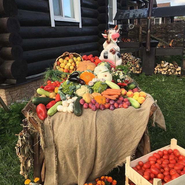 Сыры из козьего молока